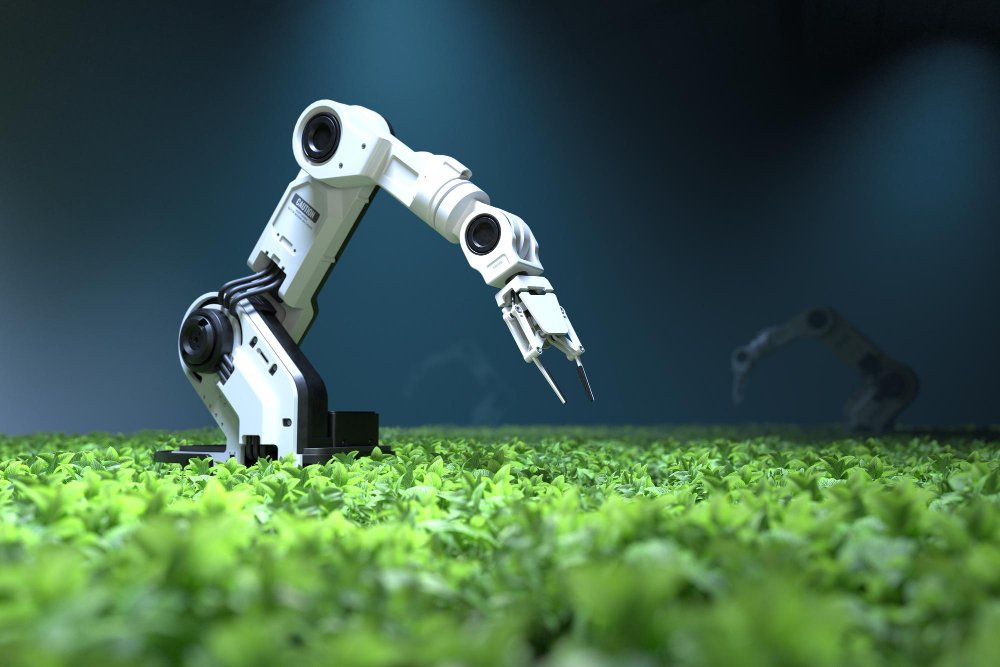 Understanding the Plants, Machinery & Tools Industry